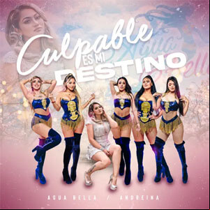 Álbum Culpable Es Mi Destino de Agua Bella