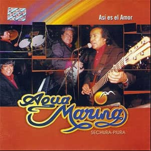 Álbum Vol. 13: Así Es El Amor de Agua Marina
