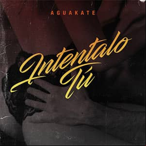 Álbum Inténtalo Tú de Aguakate