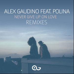 Álbum Never Give Up on Love [Remixes] de Alex Gaudino