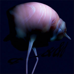 Álbum &&&&& de Arca