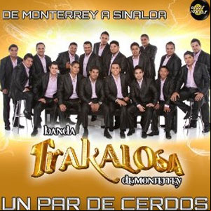 Álbum Un Par De Cerdos  de Banda La Trakalosa (Edwin Luna y La Trakalosa de Monterrey)