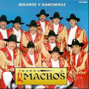 Álbum Boleras y Rancheras de Banda Machos