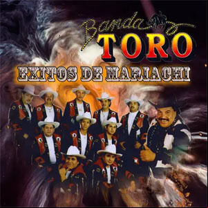 Álbum Éxitos de Mariachi de Banda Toro