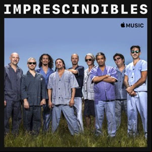 Álbum Imprescindibles de Bersuit Vergarabat