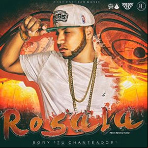 Álbum Rosala de Bory 