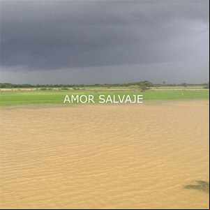 Álbum Amor Salvaje de Cholo Valderrama
