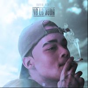 Álbum No Lo Duda de David Rone