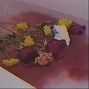 Álbum Hay Flores Flotando en el Agua de Dellafuente