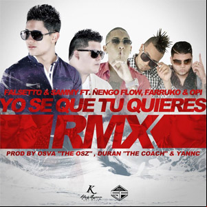 Álbum Yo Se Que Tú Quieres (Remix) de Falsetto y Sammy