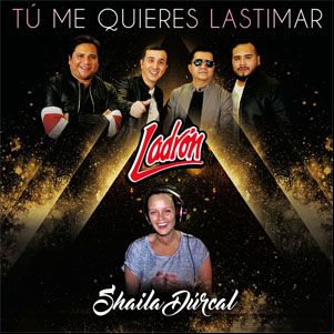 Álbum Tú Me Quieres Lastimar de Grupo Ladrón