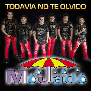 Álbum Todavía No Te Olvido de Grupo Mojado