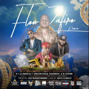 Álbum La Esencia de Guariboa