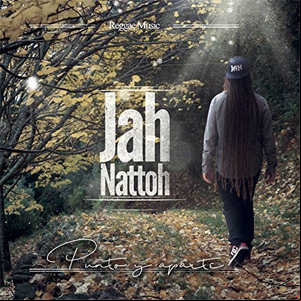 Álbum Punto y Aparte de Jah Nattoh