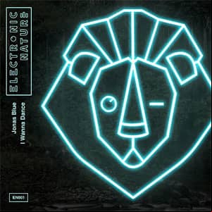Álbum I Wanna Dance de Jonas Blue