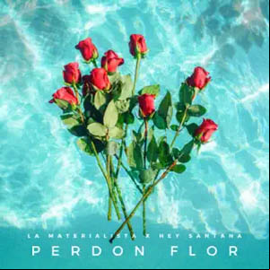 Álbum Perdón Flor de La Materialista
