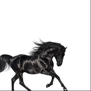 Álbum Old Town Road de Lil Nas X
