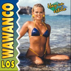 Álbum Hay Un Estilo de Los Wawanco