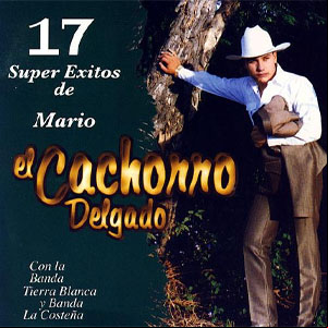 Álbum 17 Súper Éxitos De Mario de Mario El Cachorro Delgado