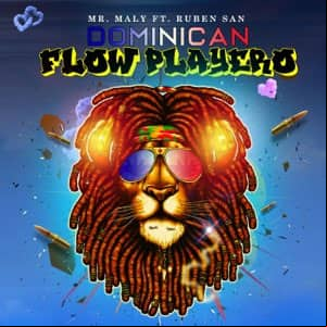 Álbum Dominican Flow Playero de Mr. Maly