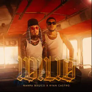 Álbum Idilio de Nanpa Básico