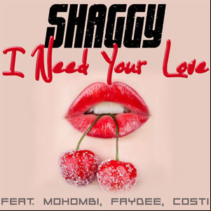 Álbum I Need Your Love de Shaggy