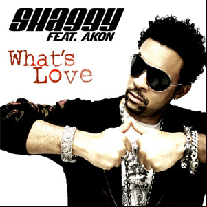 Álbum What's Love de Shaggy