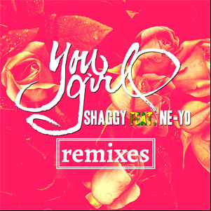 Álbum You Girl (Remixes) de Shaggy