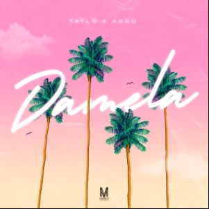 Álbum Dámela de Tayl G