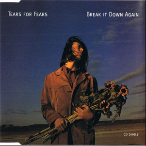 Álbum Break It Down Again de Tears for Fears