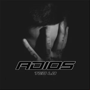 Álbum Adiós de Teo LB