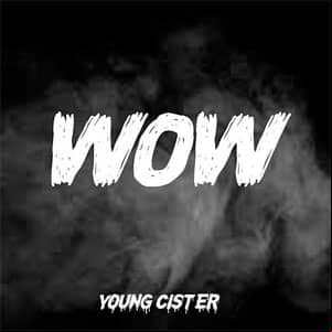 Álbum Wow de Young Cister
