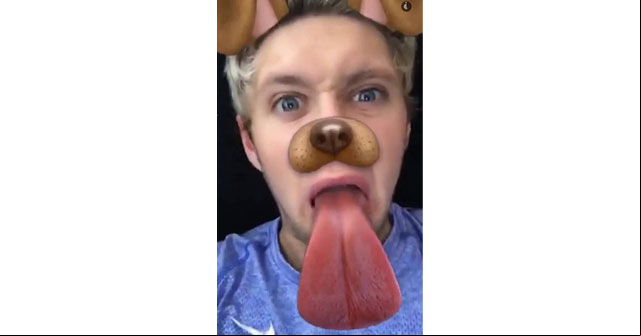 Nial usando el filtro Nial usando el filtro